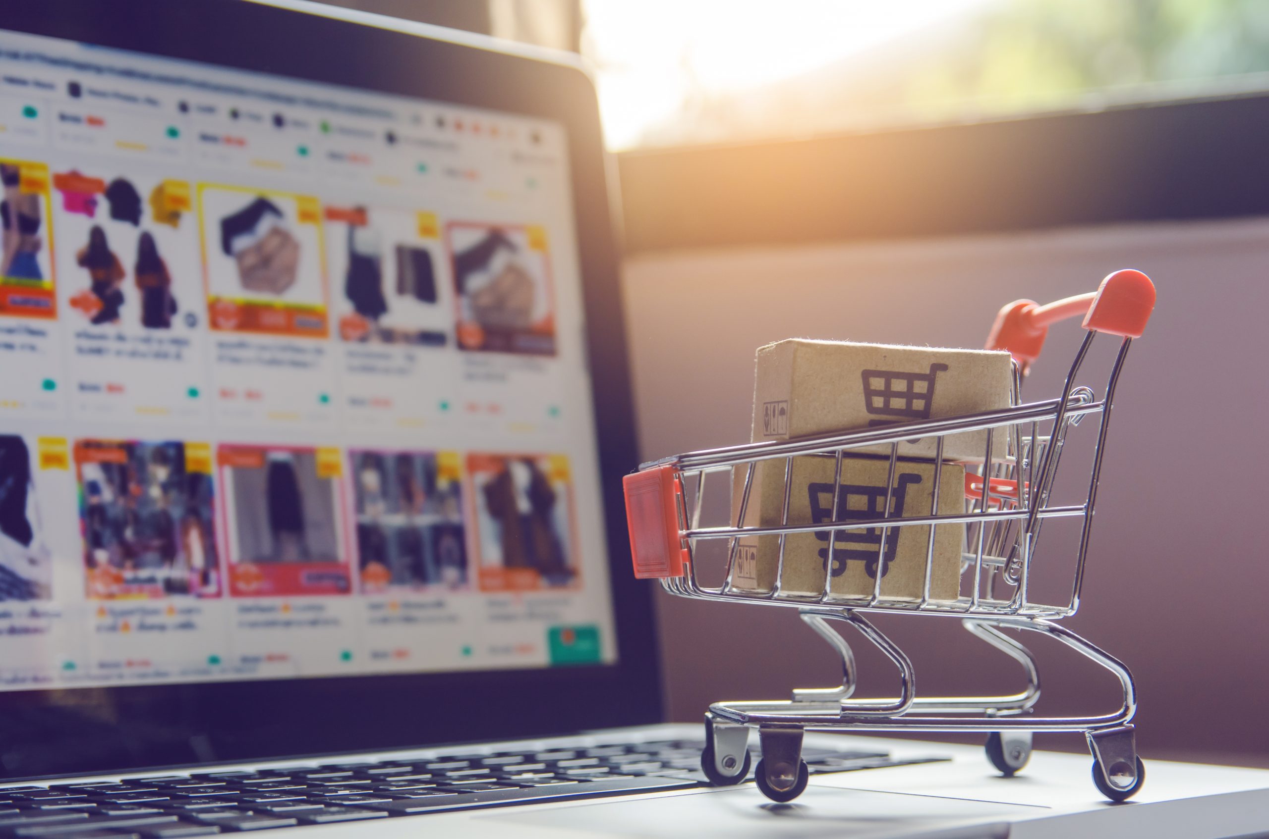 Future of E-commerce in India